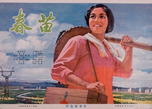 辛辛那提艺术学院公共管理文凭证书